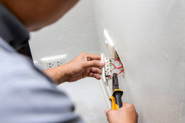 Best Electric Panel Repair  in New Buffalo, MI